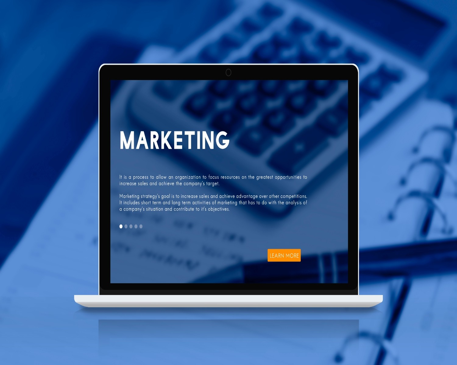 portfolio